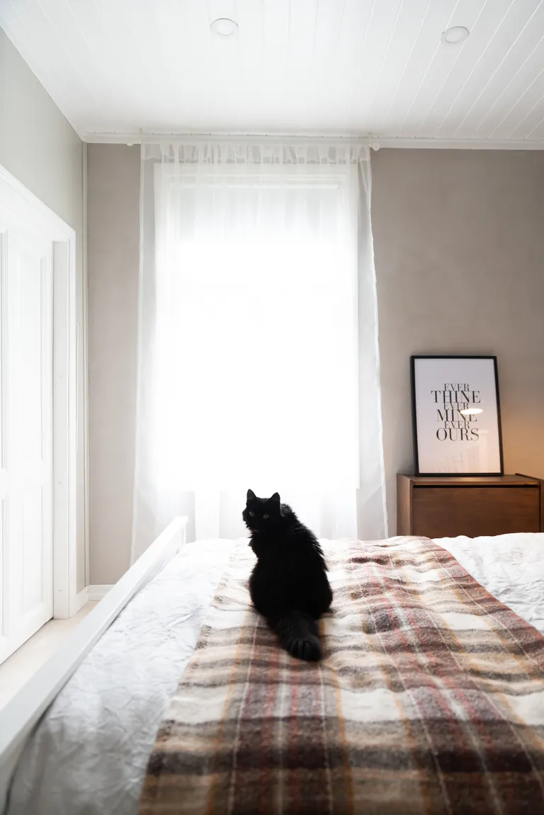 IRJA kardinapuu:IKEA