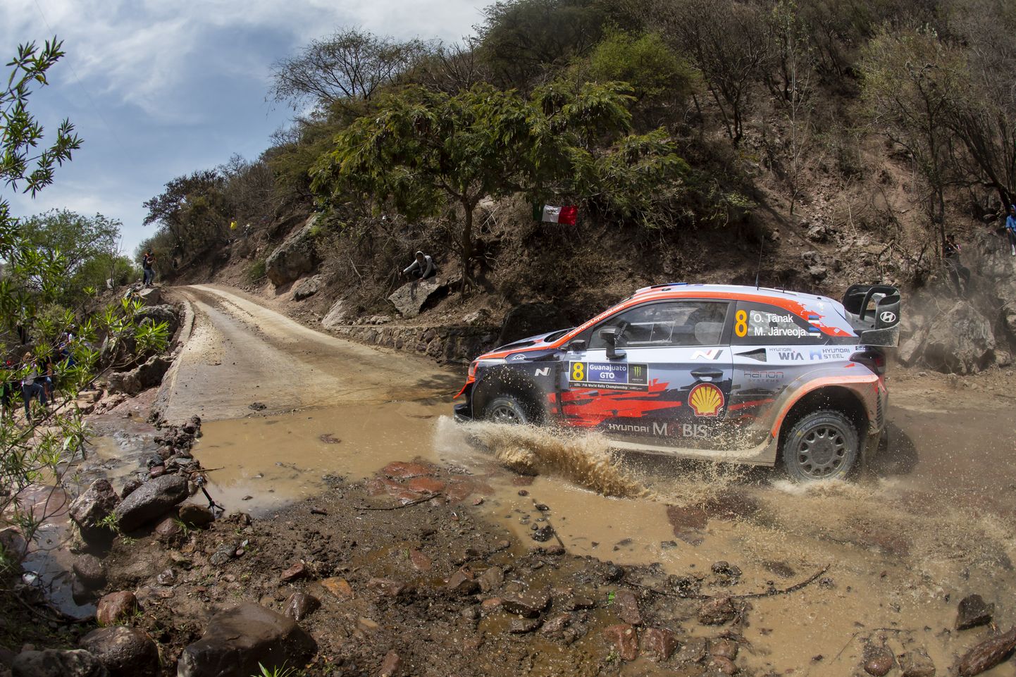 Viimati kihutasid WRC-masinad Mehhikos. Kus näeb neid järgmisena, ei tea hetkel keegi.