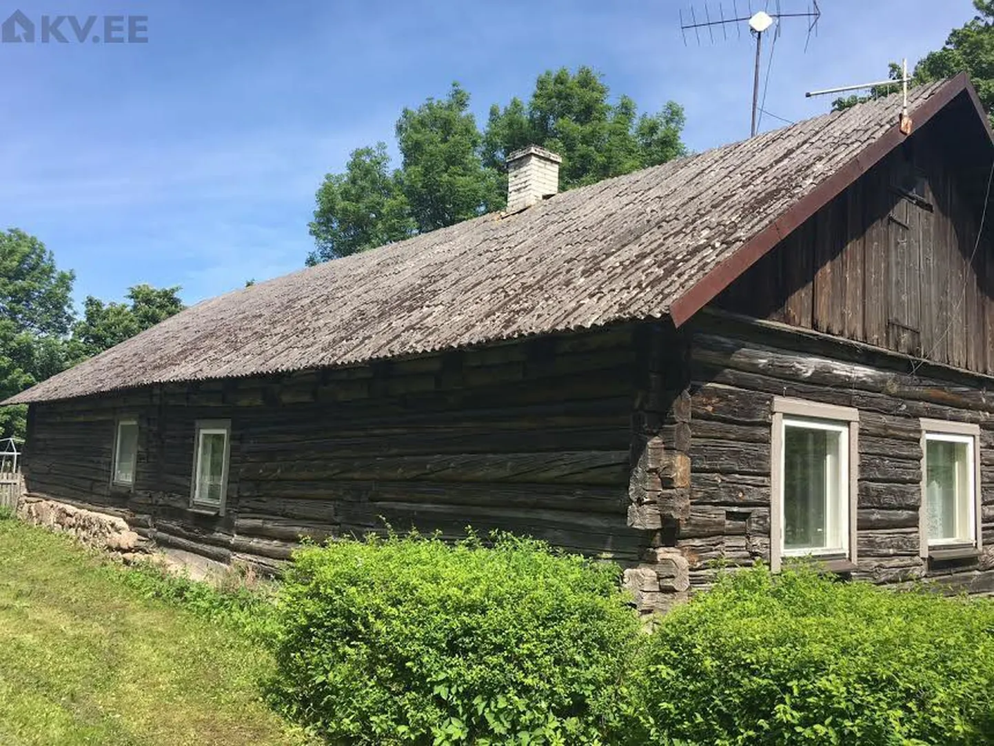 Фото статьи