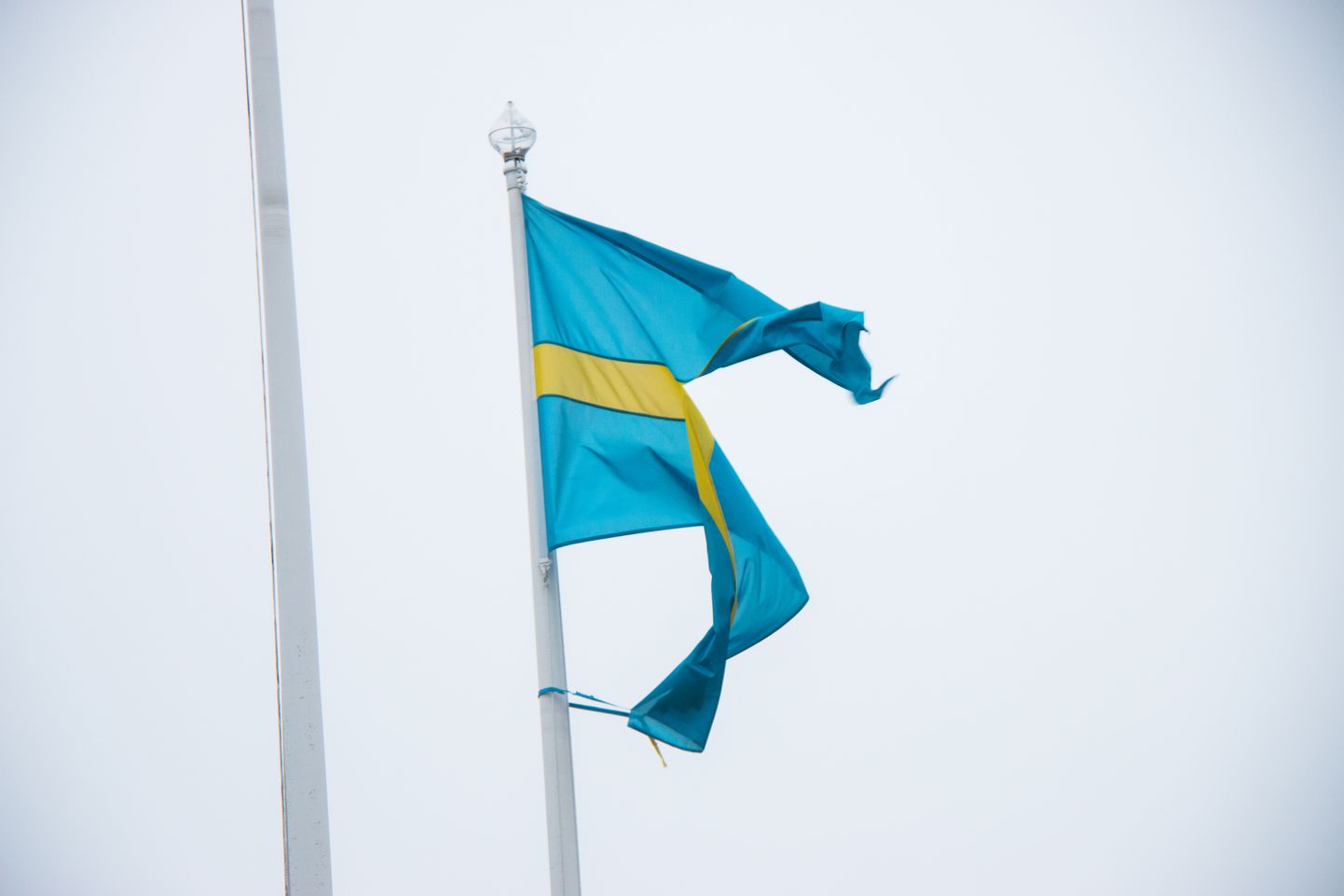 Räbaldunud Rakvere linna lipp.