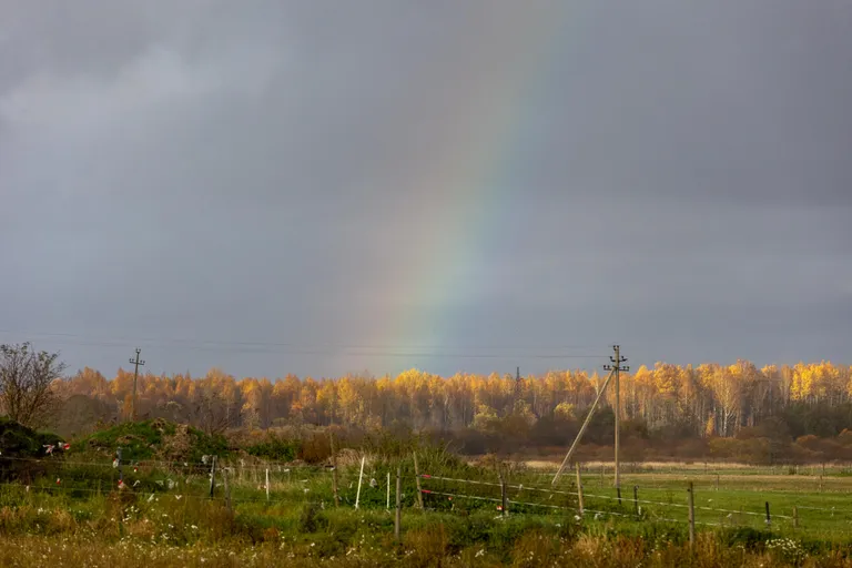 Me kõik loome oma reaalsust, vahe on vaid selles, kas kutsume ebateadlikult ellu seda, mida kardame või oleme teadlikud ja valime seda, mida soovime. Kõik ilus ja hea on maailmas olemas.