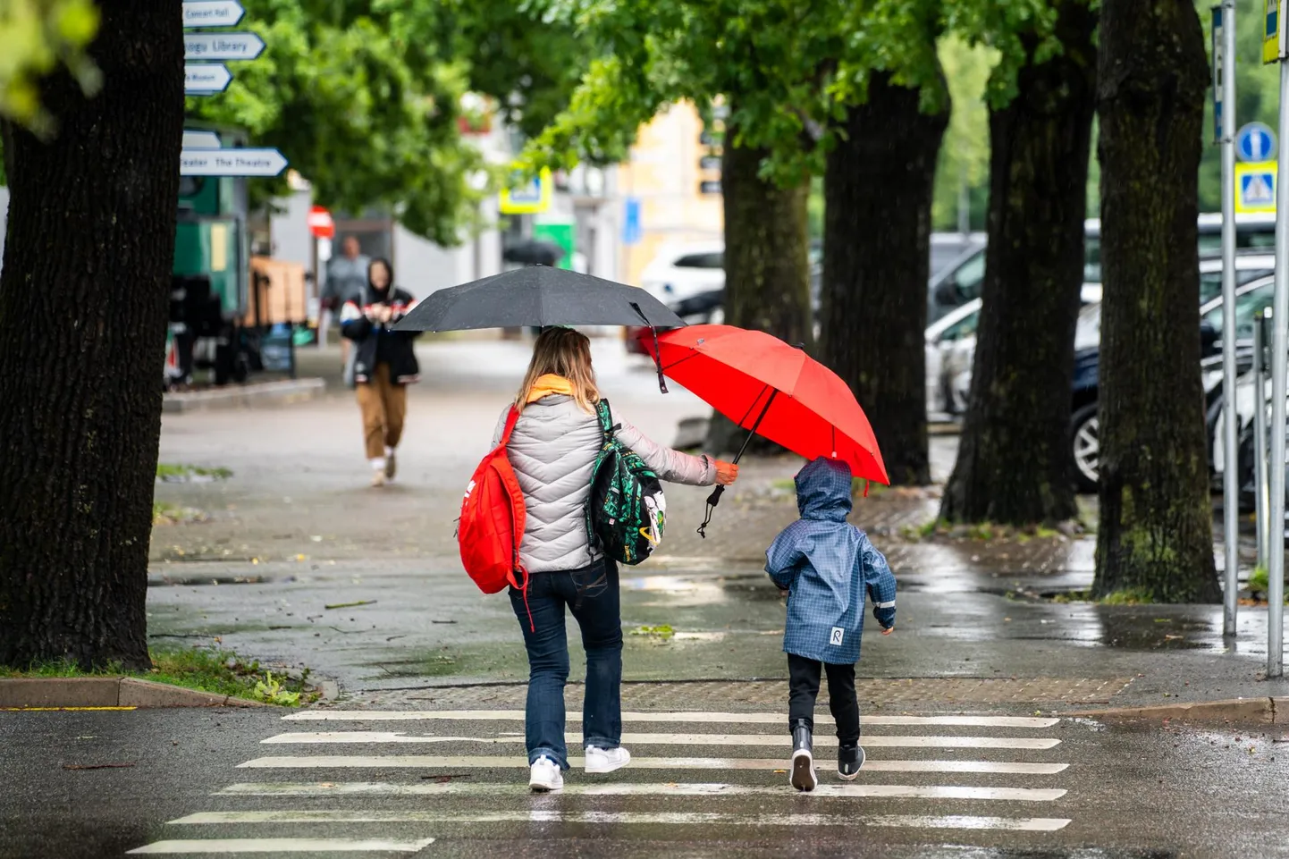 Nädala Ilmaprognoos Jahedus Ja Hoovihmad Püsivad Terve Nädala