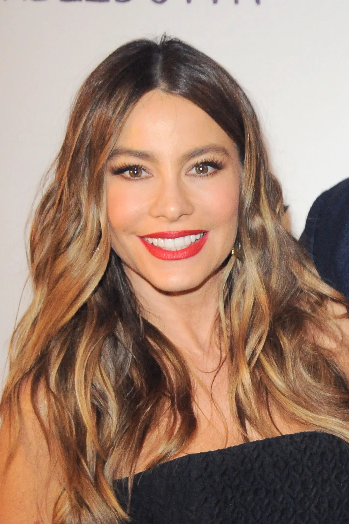 Sofia Vergara.