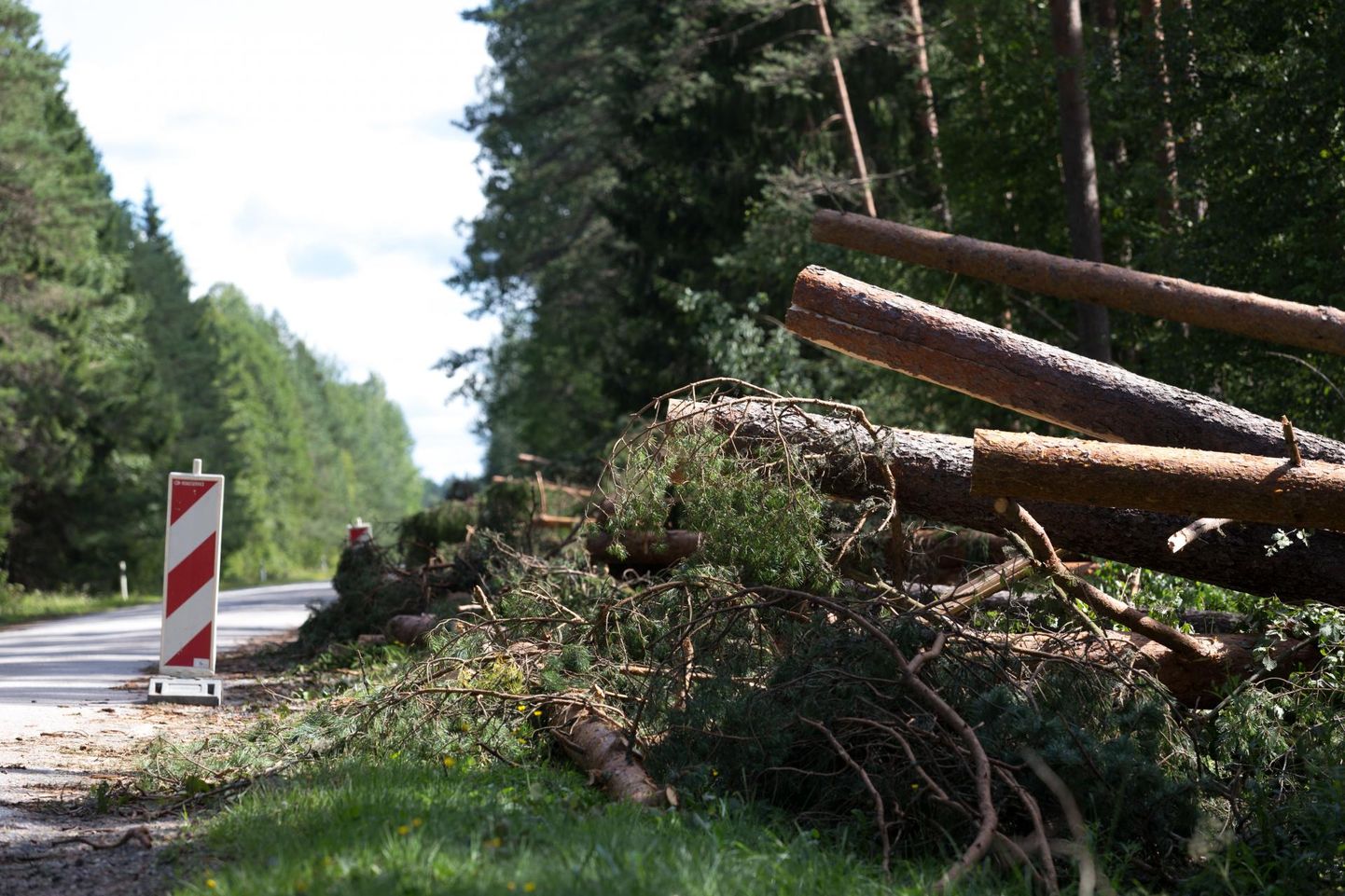Tugev torm murrab puid ning põhjustab elektri- ja veekatkestusi.