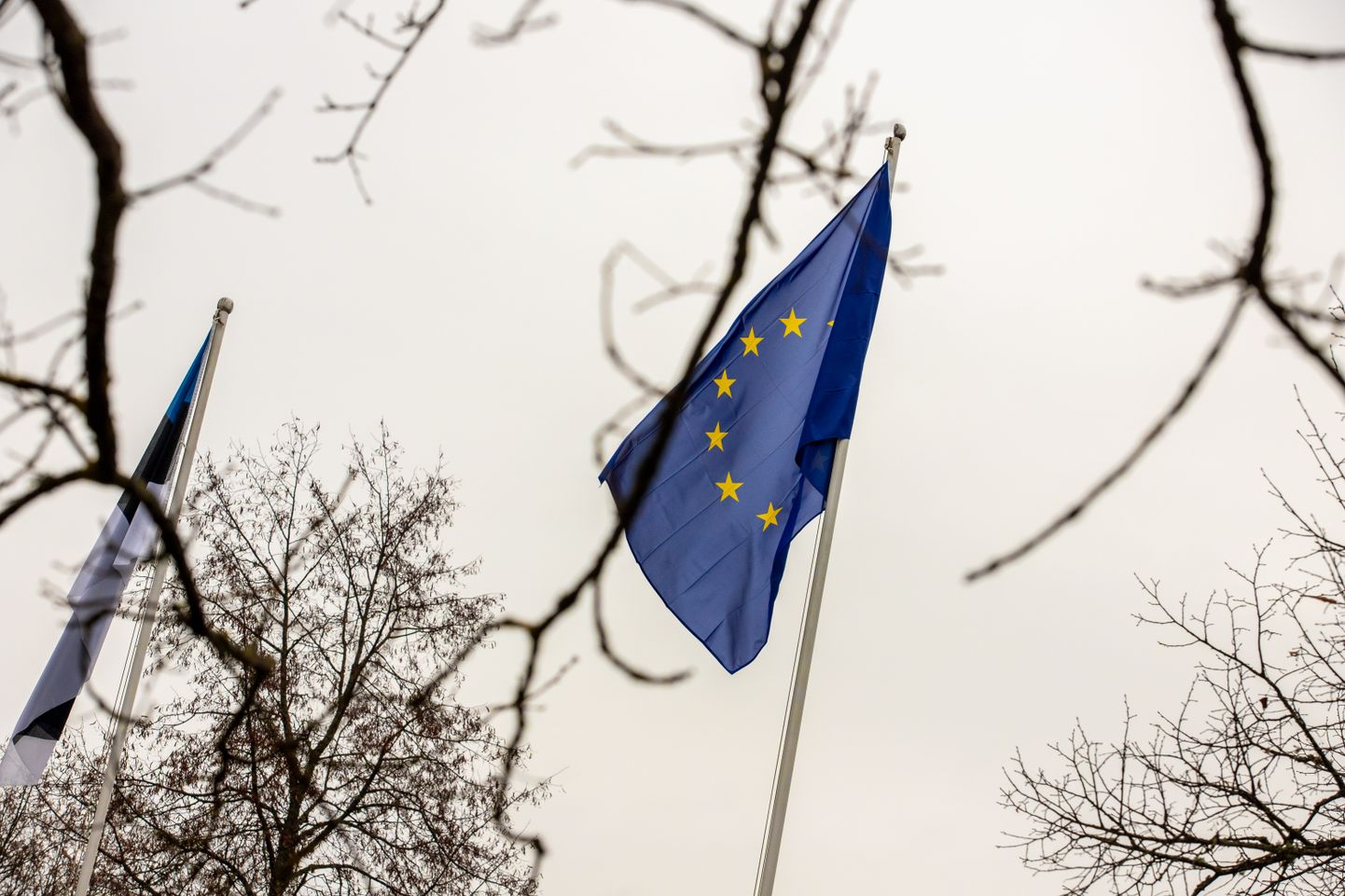 Euroopa Komisjoni Eesti esindus kinkis üle riigi 107 Euroopa Liidu lippu, vaid Saarde valda toodi lipp pidulikult kohale.