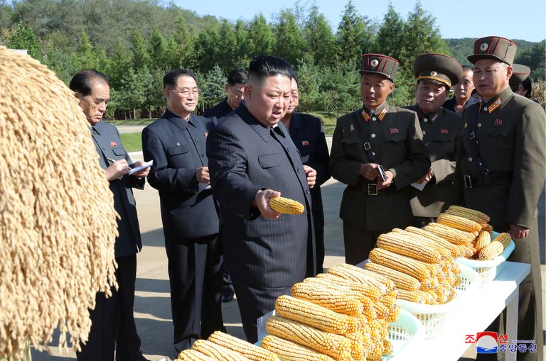 Kim Jong-un uurimas farmis number 1116 valminud maisi