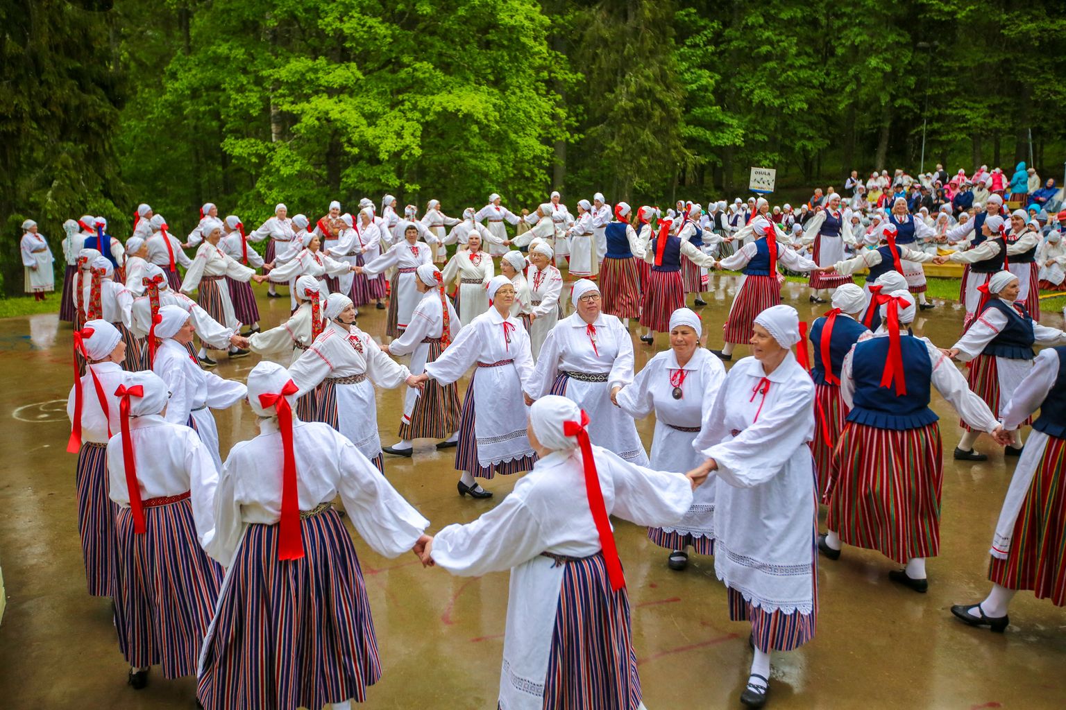 Lõuna-Eesti memme-taadi suvepidu "Teel..."
