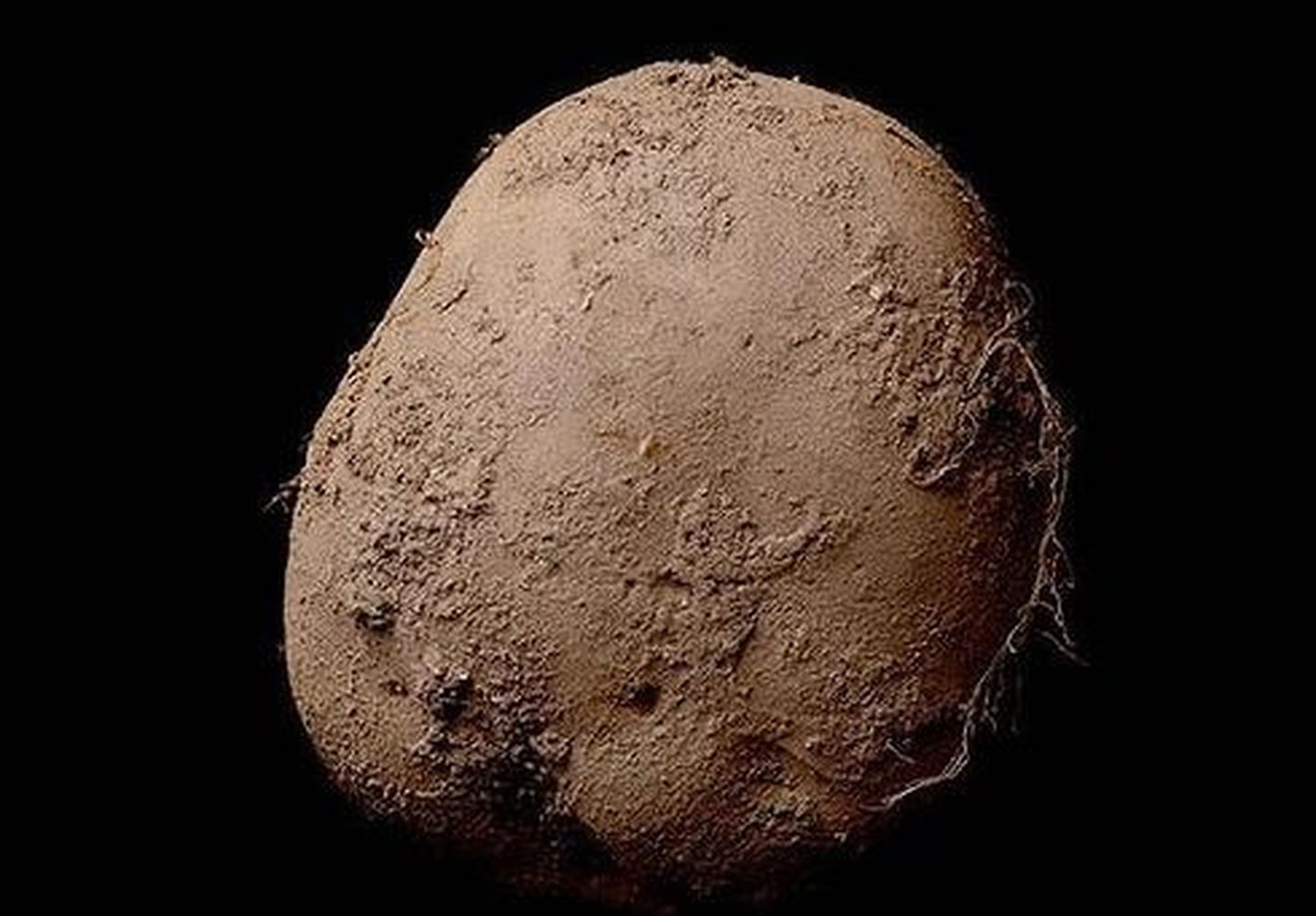 Kevin Aboschi kartulifoto «Potato #345»