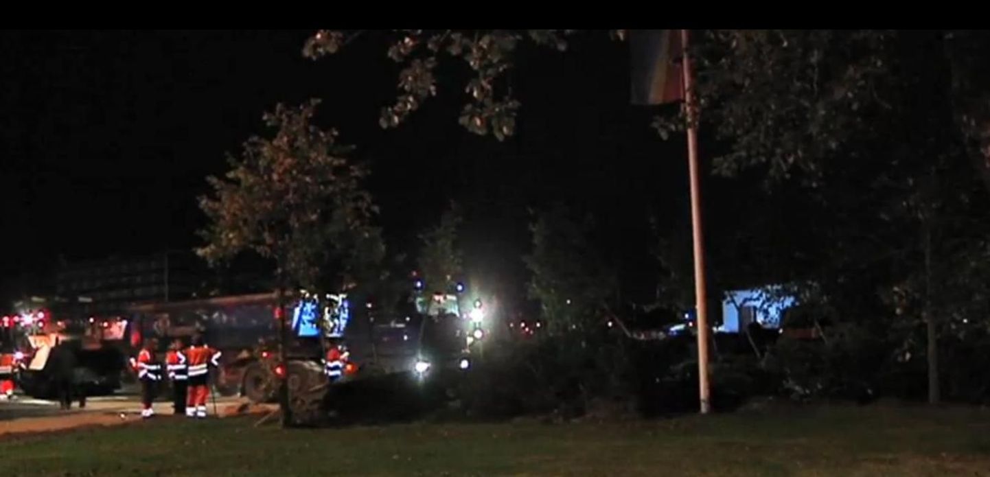 Tartu maantee äärde ööl vastu Obama tulekut istutatud puud
