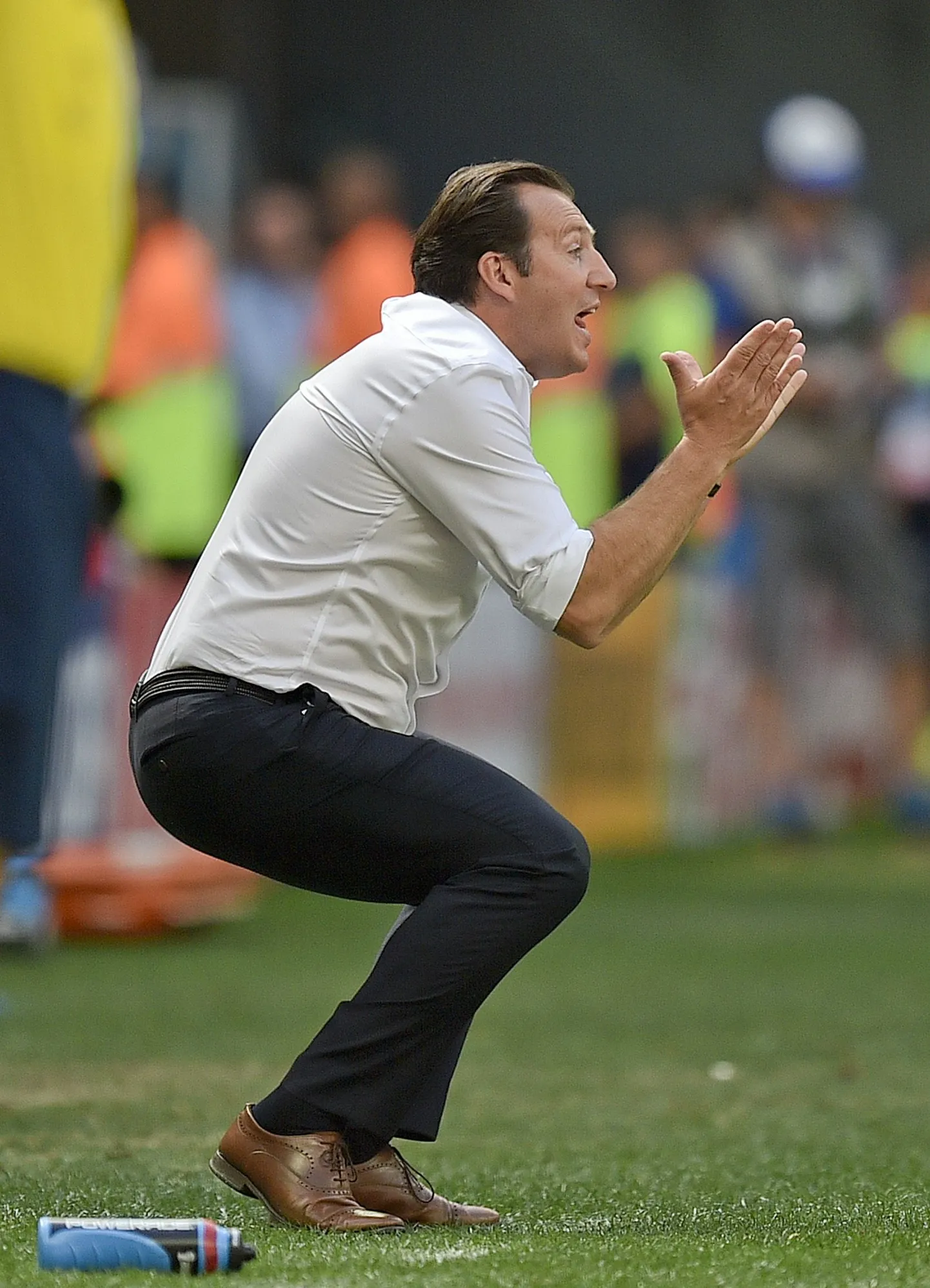Belgia jalgpallikoondise peatreener Marc Wilmots.