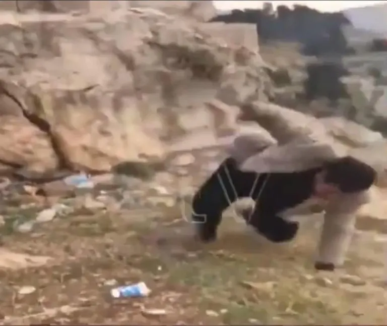 Artikli foto