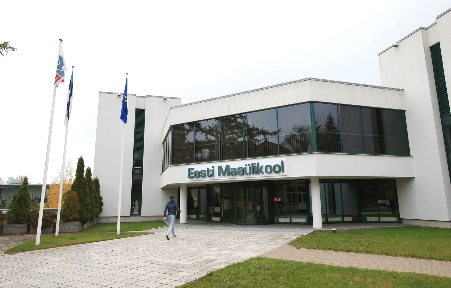 Möödunud aasta edetabelis oli Eesti maaülikool põllumajanduse ja metsanduse erialasid õpetavate ülikoolide seas maailmas 67. kohal, tänavu aga tõusis 37. kohale.