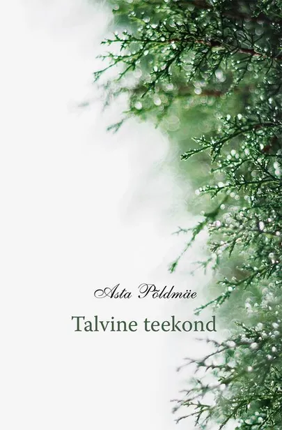 Asta Põldmäe, «Talvine teekond».