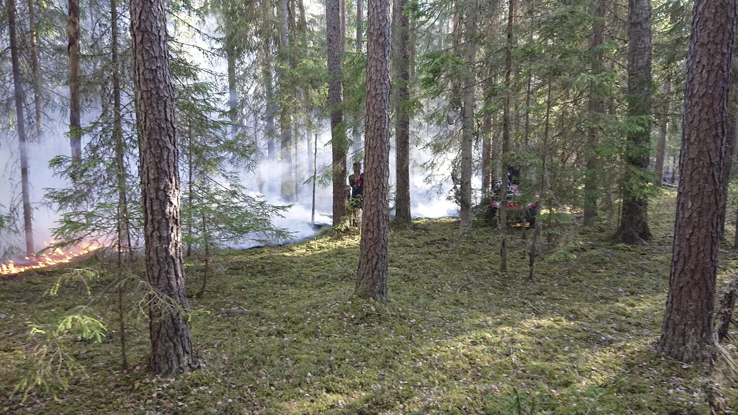 Tulekahju