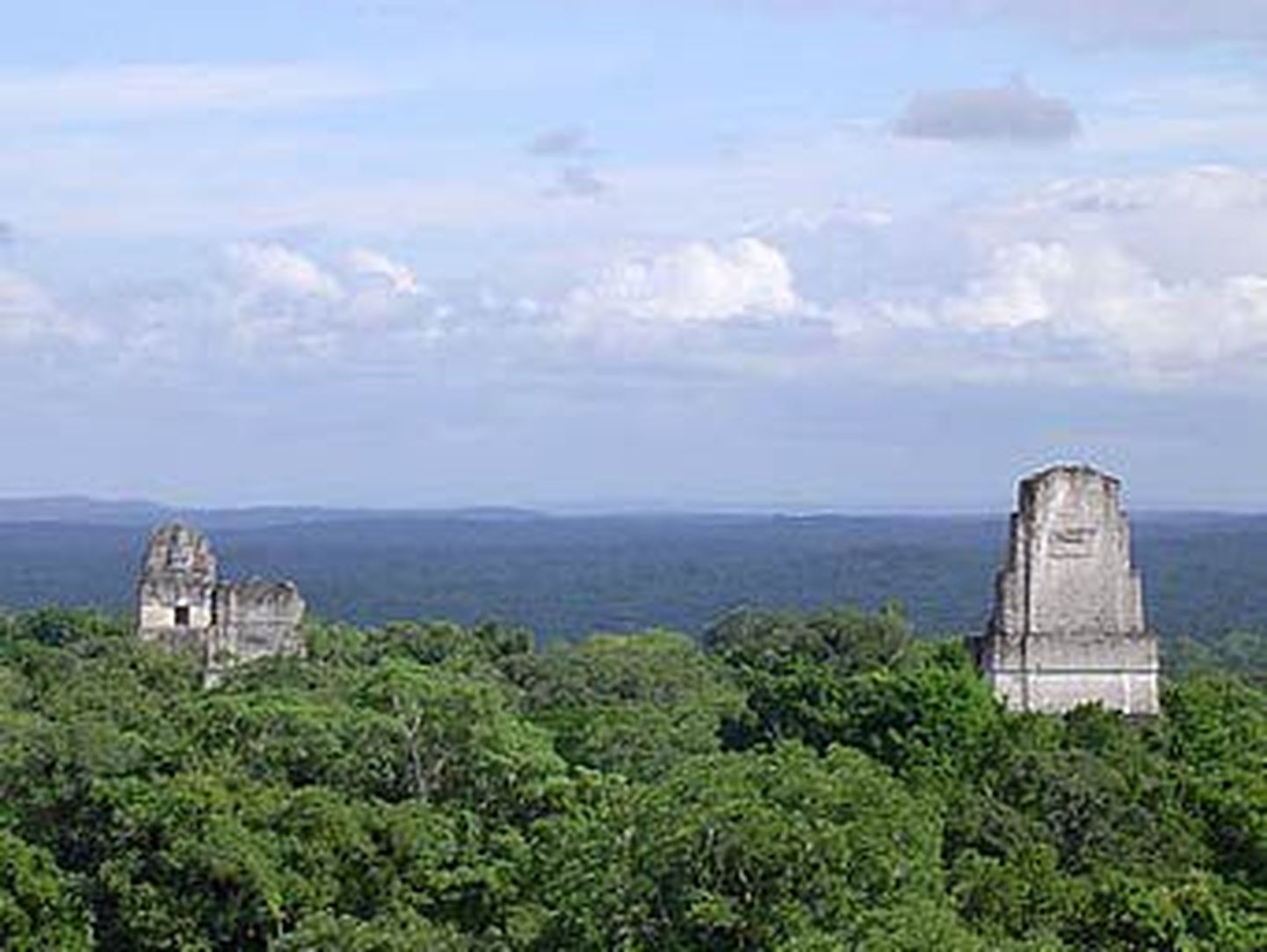 Maiade templijäänused džunglis