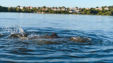 PÄÄSTEAMETI ÜLESKUTSE ⟩ Ärge laske purjus sõpra vette