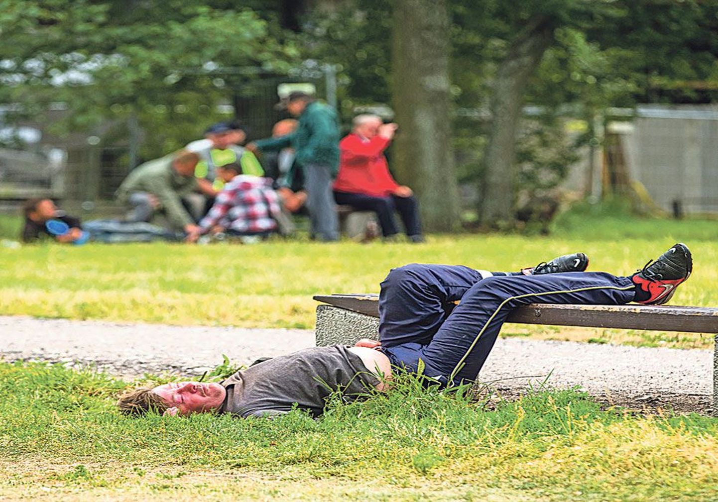 Tallinnas Marja poe juures pummeldas juulis lõbus seltskond kodanikke, üks mees oli aga pingil magama jäänud.