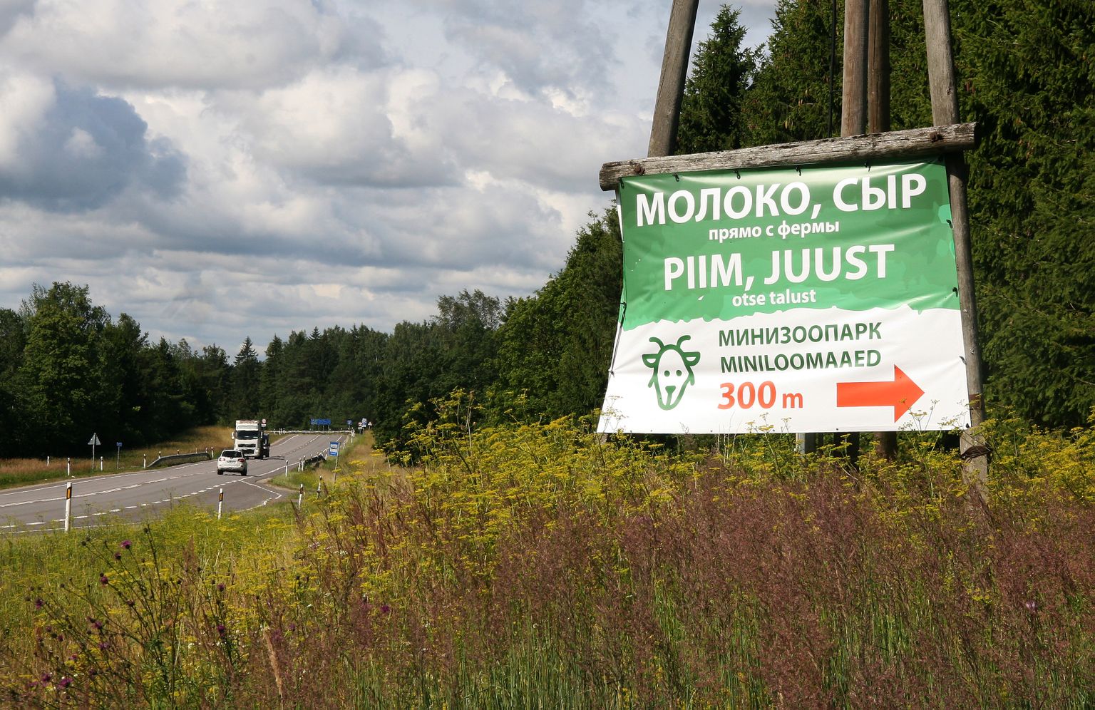 В официальном письме волостное управление обязало владельца козьей фермы убрать незаконную рекламу к 12 июля, но еще в полдень пятницы она была на месте.