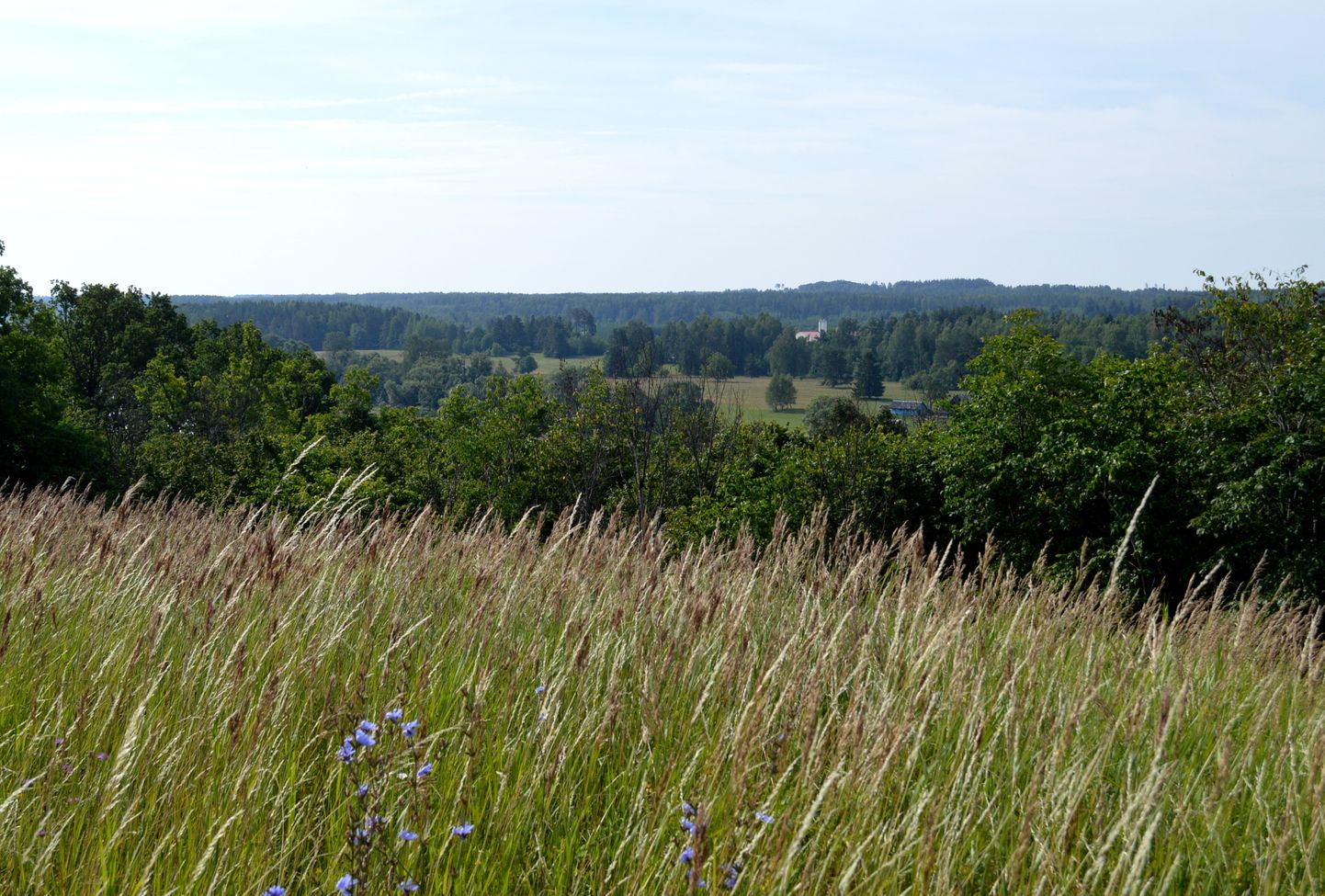 Dabas parka "Daugavas ieleja" teritorija Aizkraukles novadā.