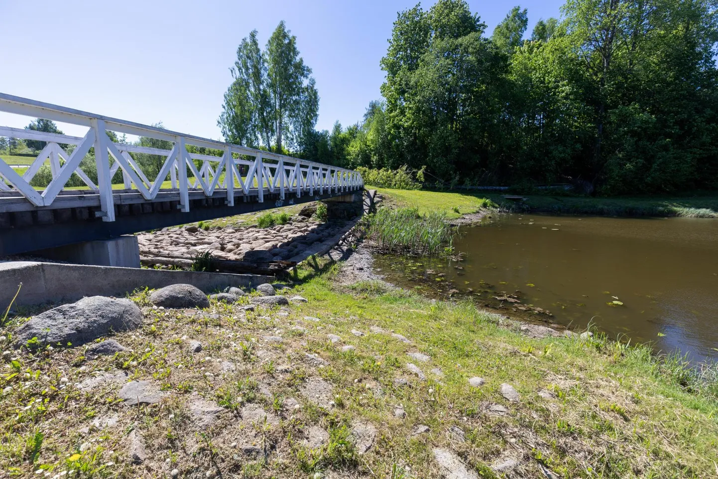 2023. aastal tublisti madalamaks lastud Tarvastu paisjärve paisu ümber ehitamiseks ja järve loodetavaks taastamiseks on nüüd leitud projekteerija.