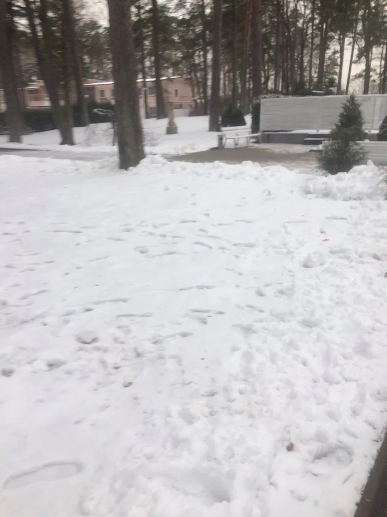 Нарва-Йыэсуу
