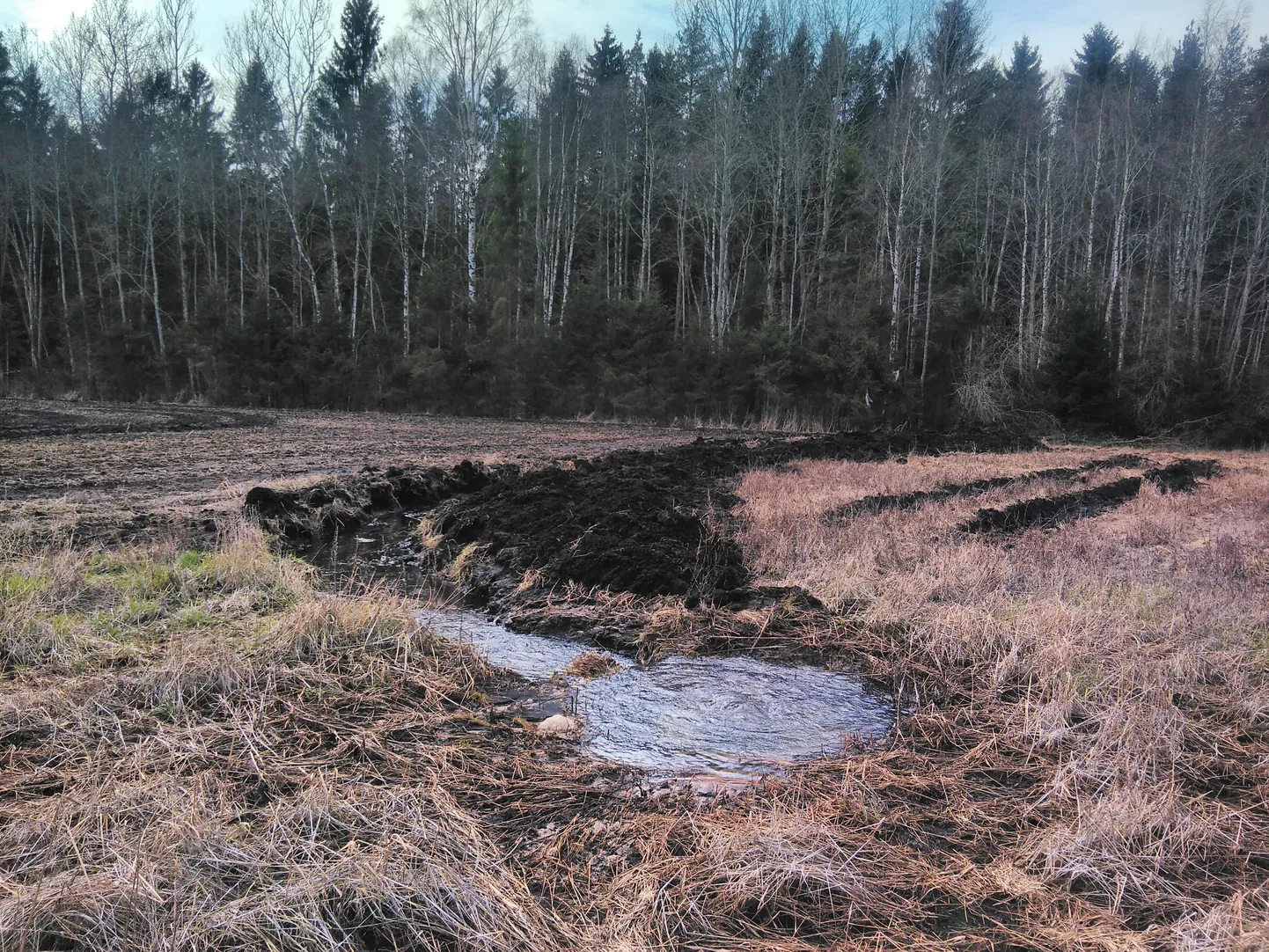 Выкопанная собственником земли канава отводит лишнюю воду с поля в осушительную канаву на опушке леса.