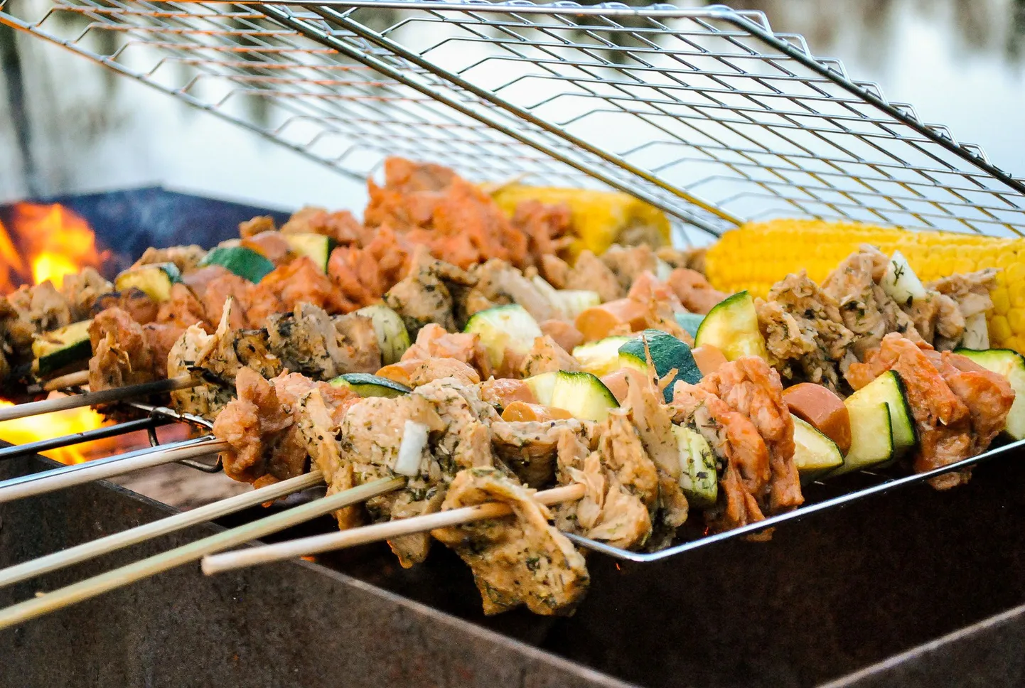 Taimne grill