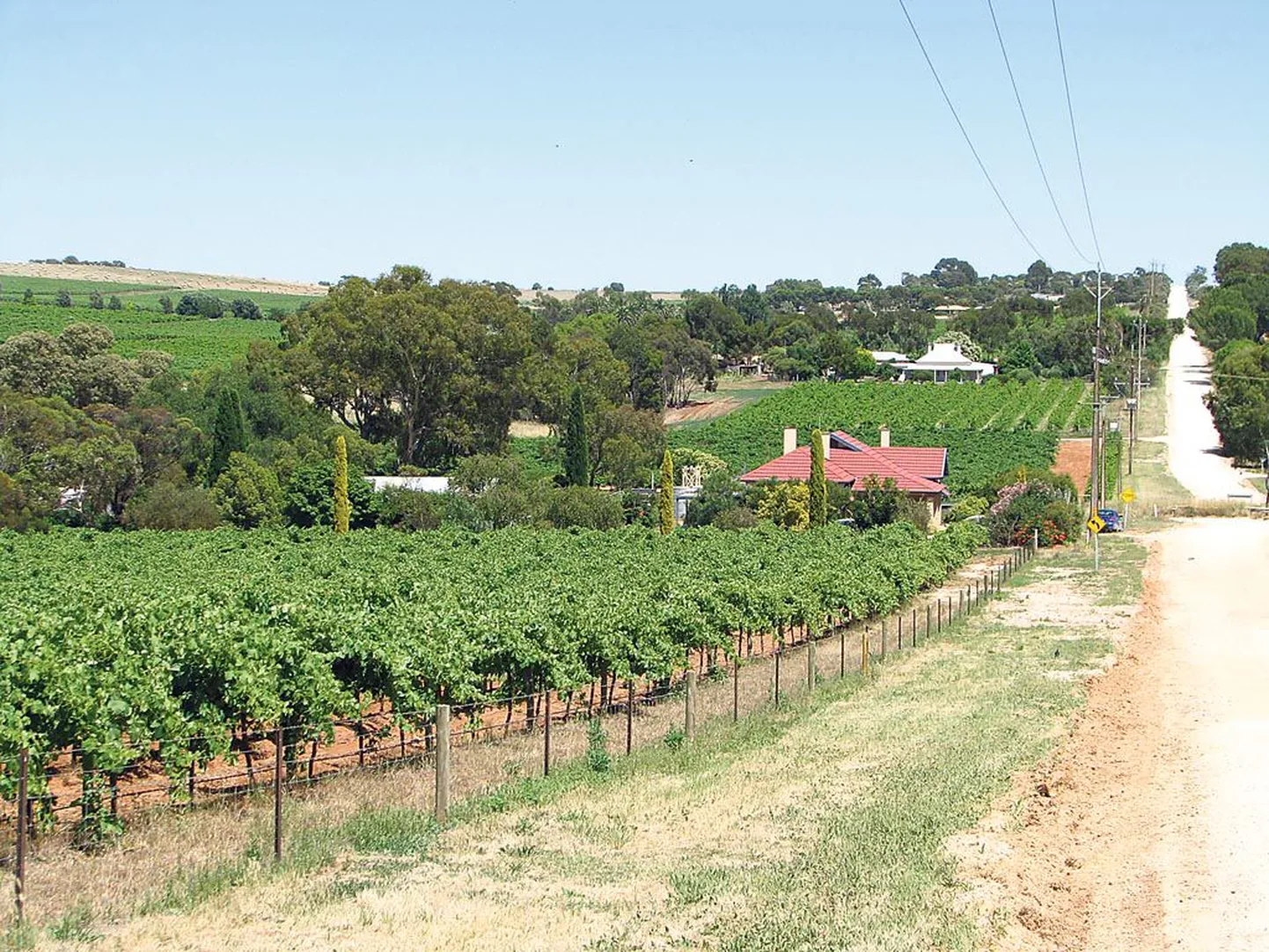 Barossa veinipiirkond on tuntud peamiselt oma punaste veinide, eriti Shiraz’ poolest.