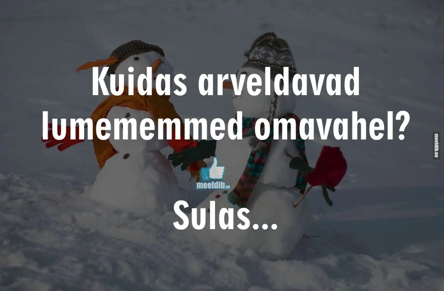 Artikli foto