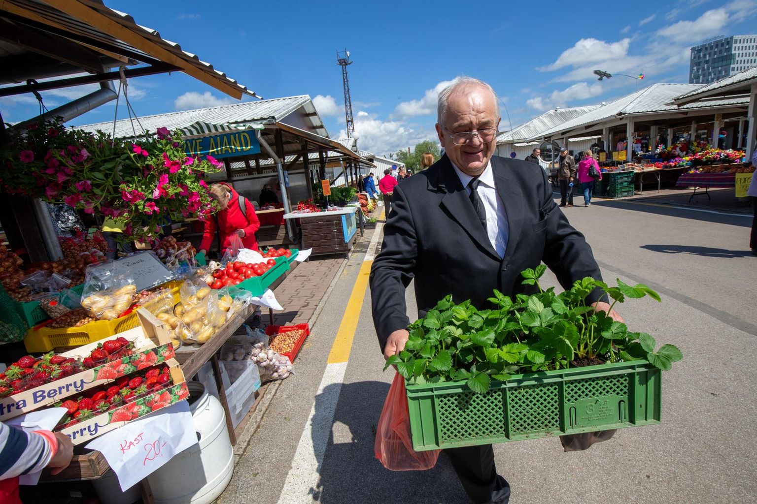 Elva ettevõtja Tõnu Aigro viis laupäeval Tartu turult koduaeda maasika- ja kurgitaimi ning sai veel karbi mustikaid ka kaasa.
