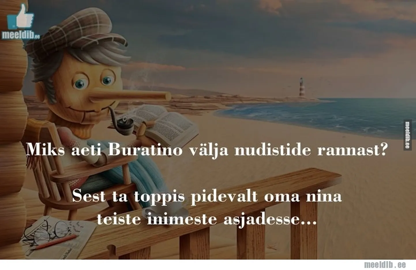 Artikli foto