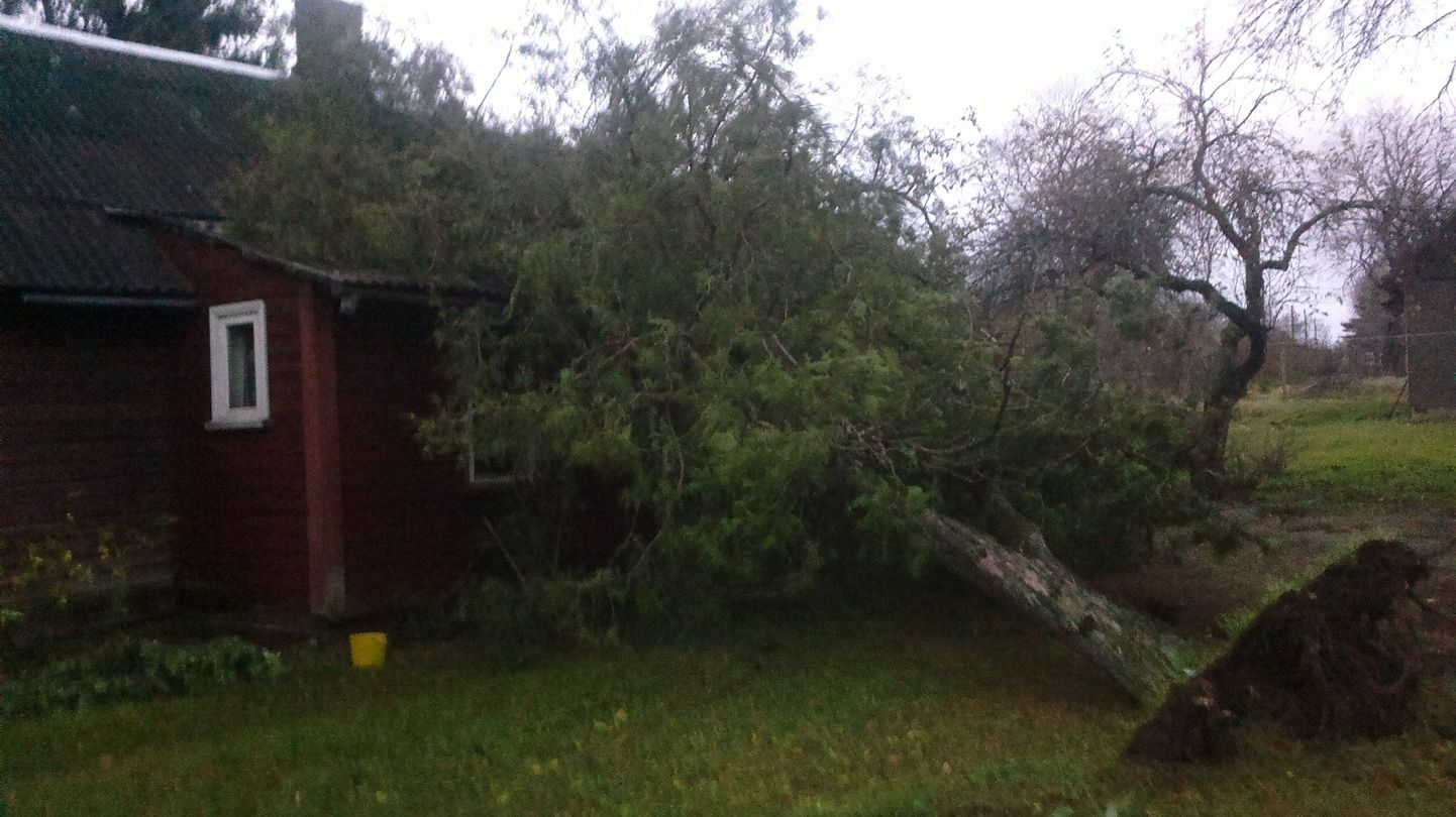 Kilingi-Nõmmes Laada tänaval kukkus tormiga puu vastu maja ust ja inimene ei saanud majast välja.