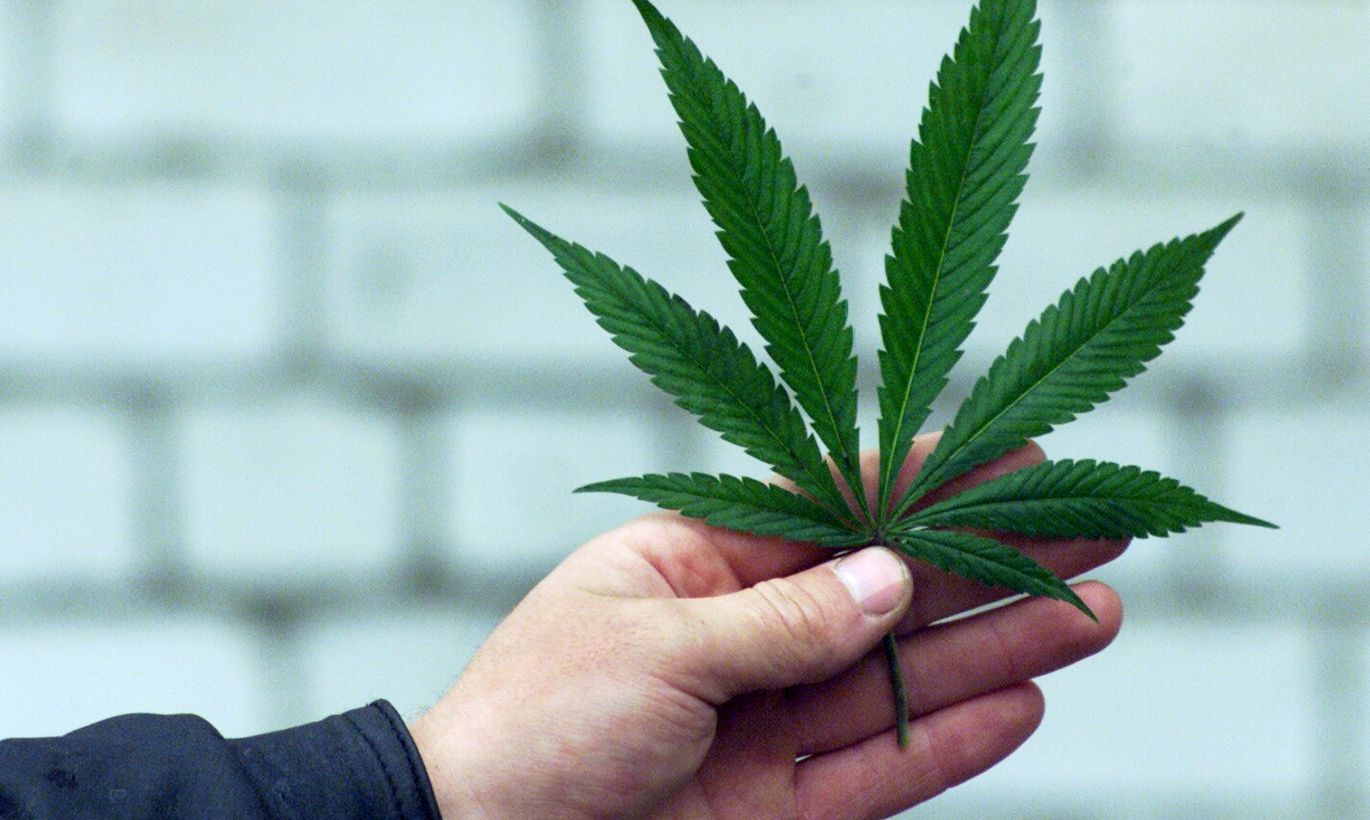 в эстонии легализовали марихуану
