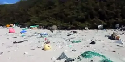 Artikli foto