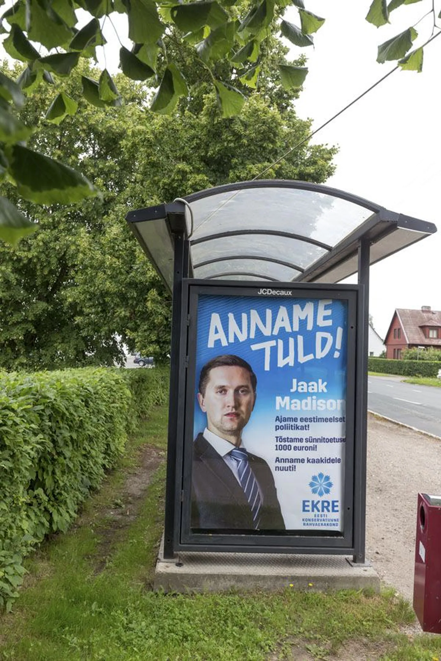Artikli foto