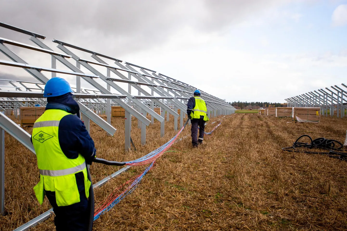 Tapa päikeseenergiajaama juures käib elav askeldamine, põllul on püsti juba tuhanded paneelide toetuspostid.