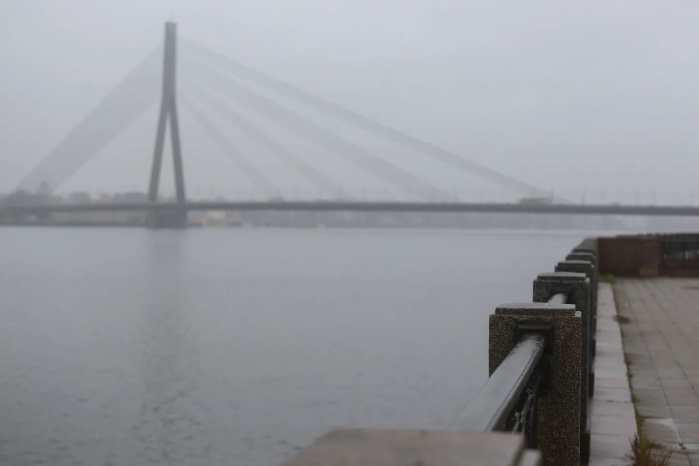 Vanšu tilts un Daugava.