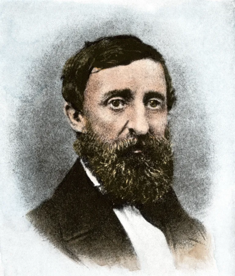 Henry David Thoreau räägib niinimetatud mõistuse taudist oma kuulsas teoses «Walden ehk elu metsas».