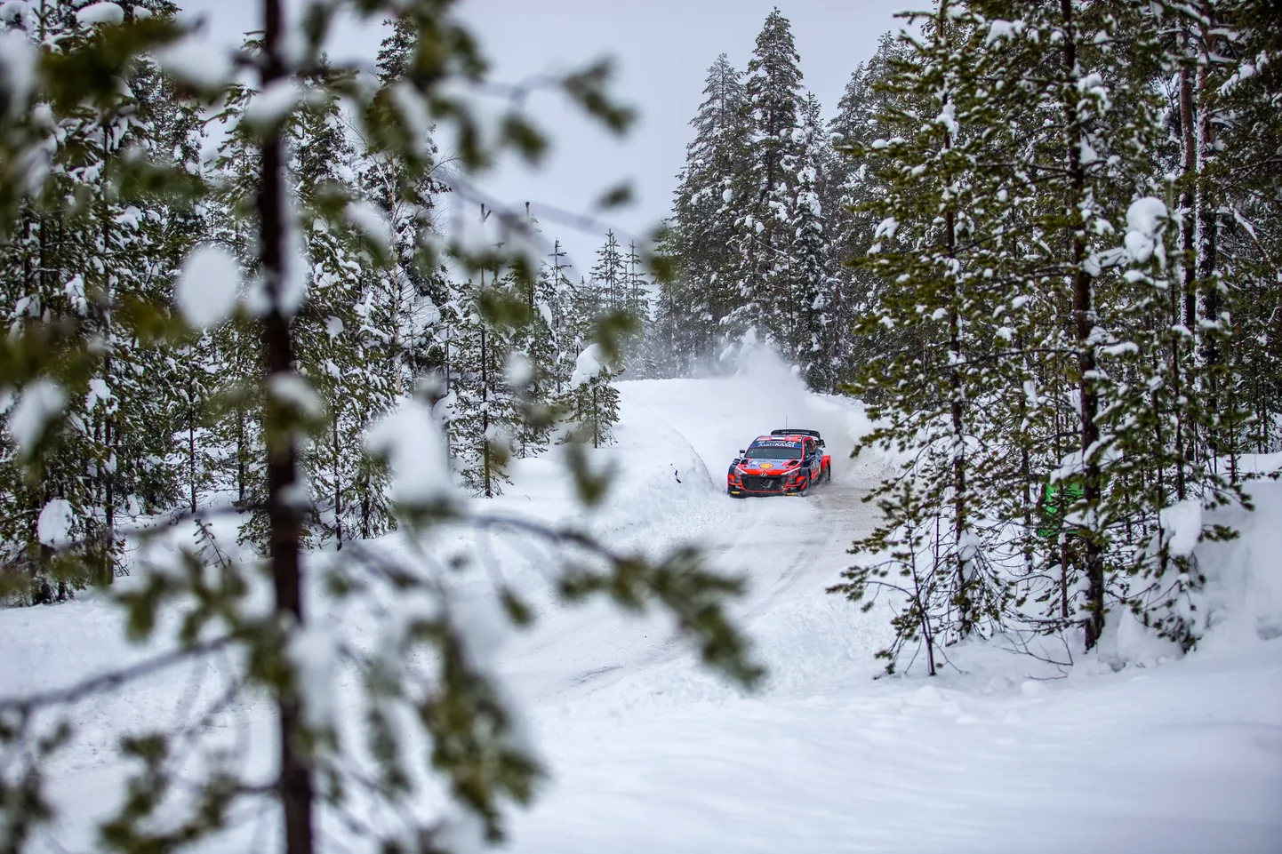 Ott Tänak ja Martin Järveoja tuhisemas Lapimaa MM-etapi võidu suunas.