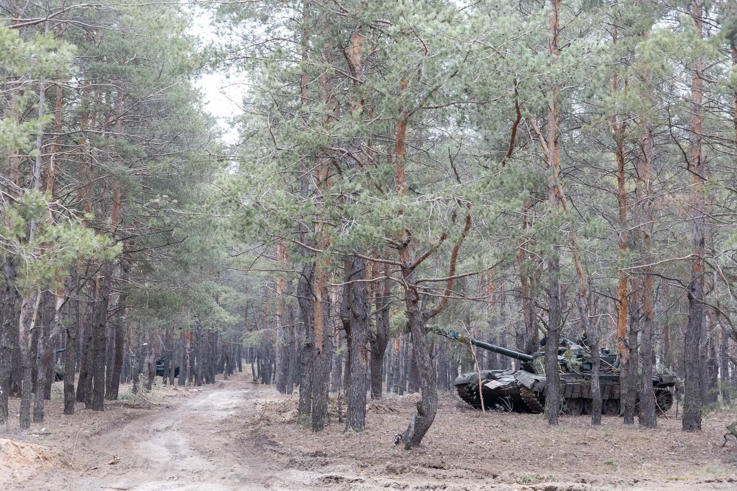 Ukraina tankid ootavad lahingukäsku Kreminna metsades