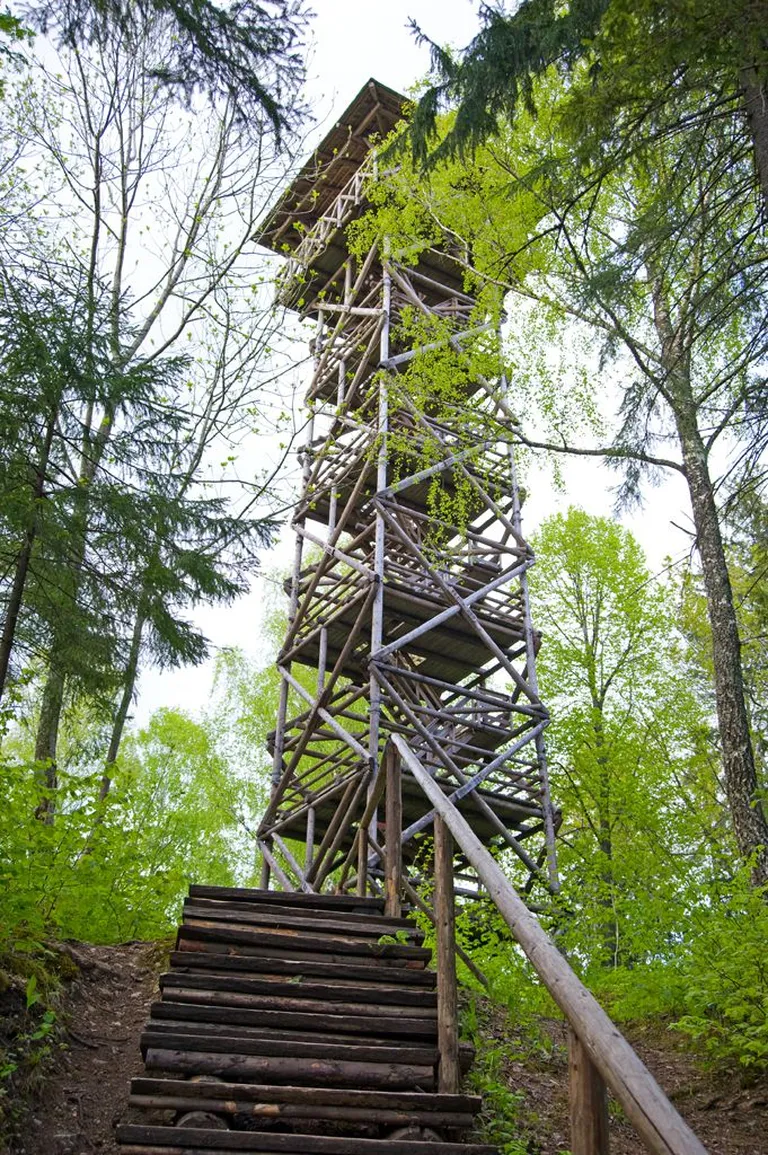 Selline nägi Iisaku vaatetorn välja enne kokkuvarisemist.