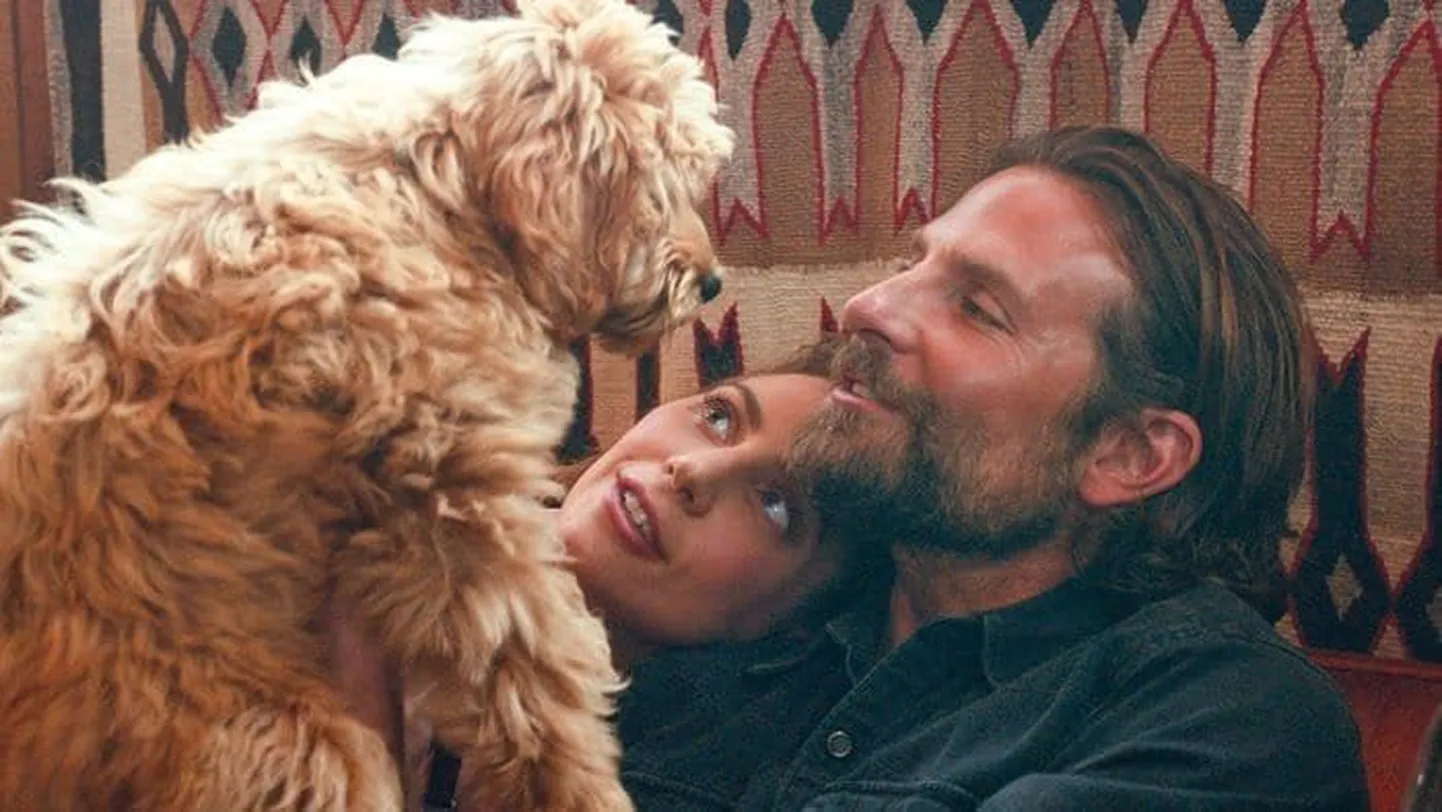 Bradley Cooper ja Lady Gaga filmis «Täht on sündinud»