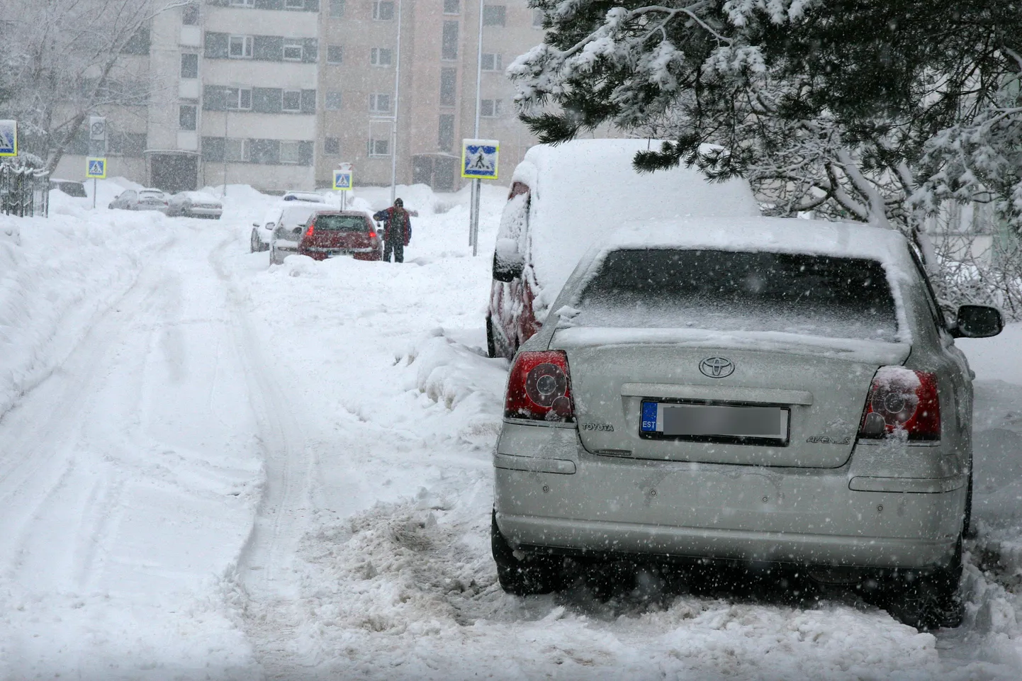 Paljud Tammiku mikrorajooni teed on nii autojuhtidele kui ka teehooldajatele endile takistusribaks muutunud.