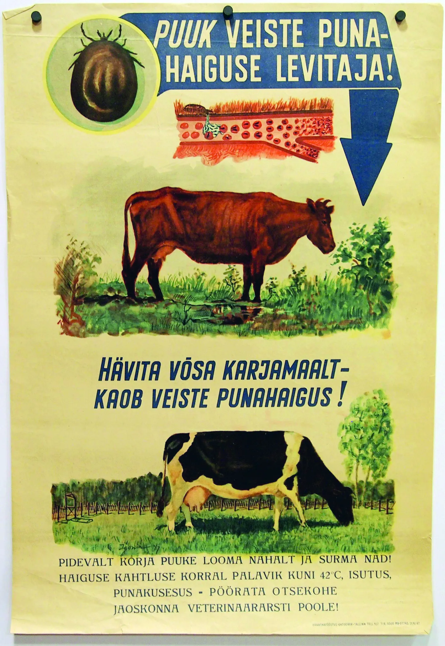 Puukidega leviva veiste punahaiguse (babesioosi) eest hoiatati Eestis ammu enne seda, kui päevakorrale kerkisid puukentsefaliit ja -borrelioos.