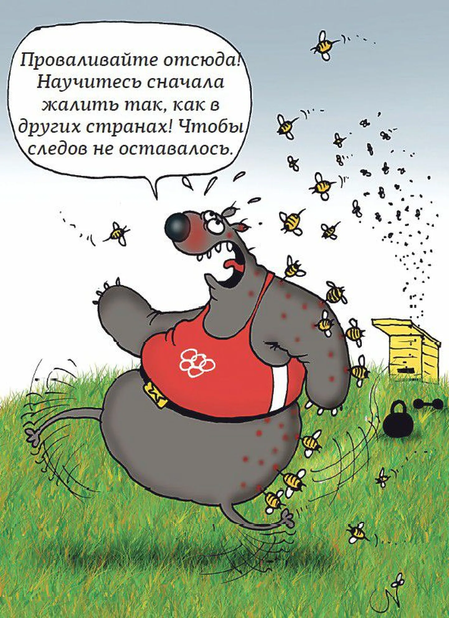 Фото статьи