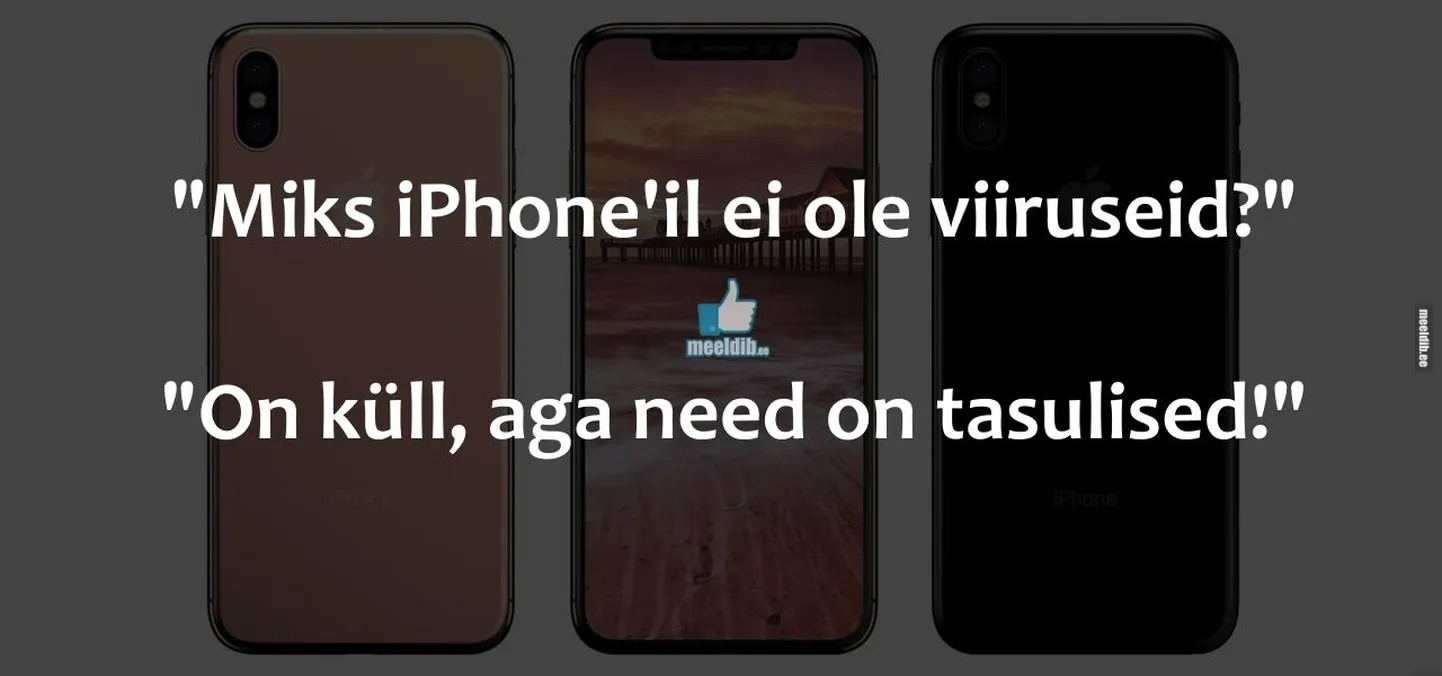 Artikli foto