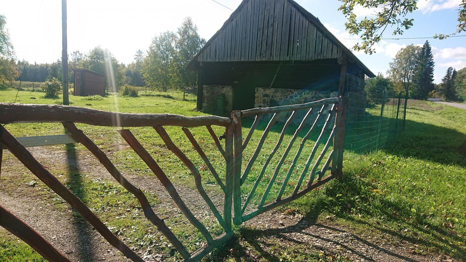 Karu tuli Belova koduvärava kõrvale isegi siis, kui Belova juba väravast sisse kõndis.