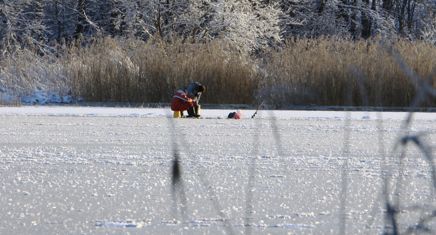 Pärnu jõel võis eile näha esimesi tirgutajaid, keda ohtlikult õhuke jää karvavõrdki ei heidutanud.