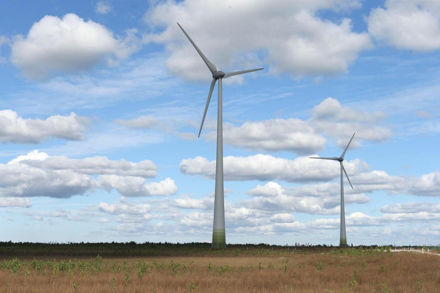 Tüüpiline elektrituulik hakkab toodangut andma alates tuule kiirusest 4 m/s ja saavutab täisvõimsuse 12 m/s juures. 