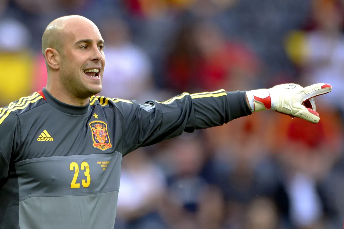 Pepe Reina Hispaania koondise särgis.